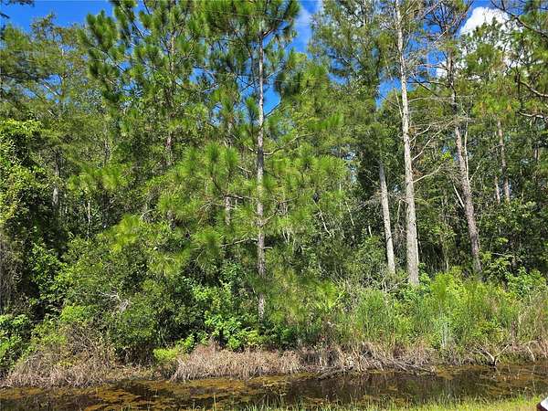 2.5 Acres of Land for Sale in St. Cloud, Florida