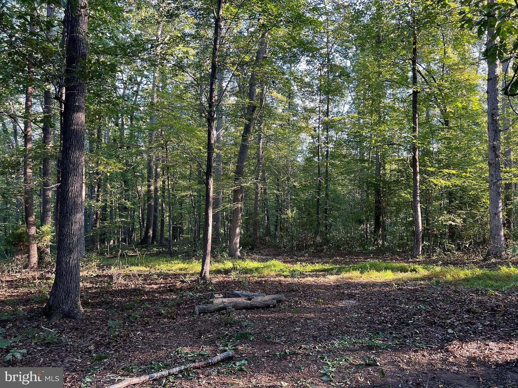 10 Acres of Land for Sale in Reva, Virginia