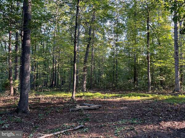 10 Acres of Land for Sale in Reva, Virginia
