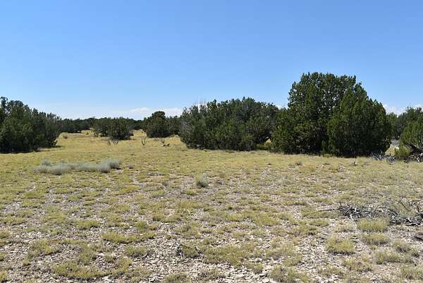 40 Acres of Land for Sale in Trinidad, Colorado