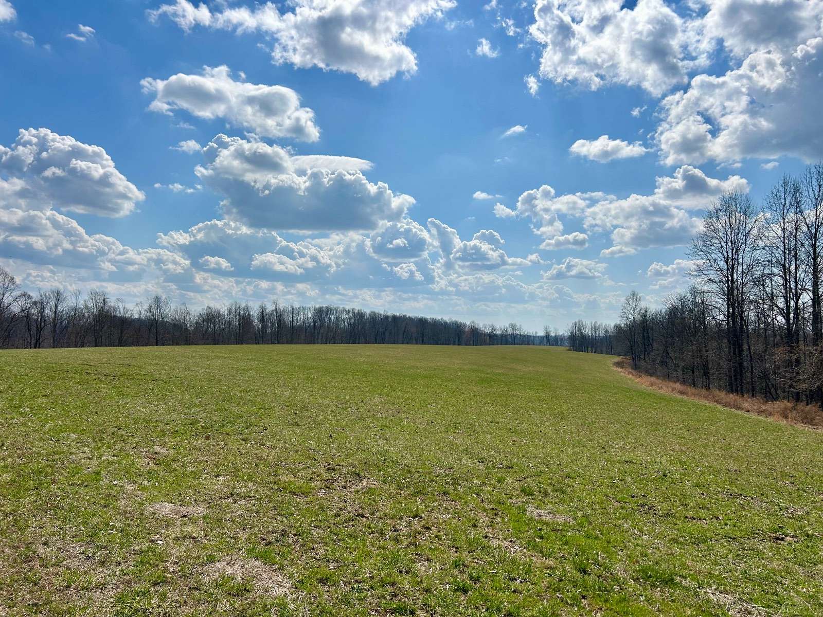 165 Acres of Land for Sale in Elkhorn City, Kentucky