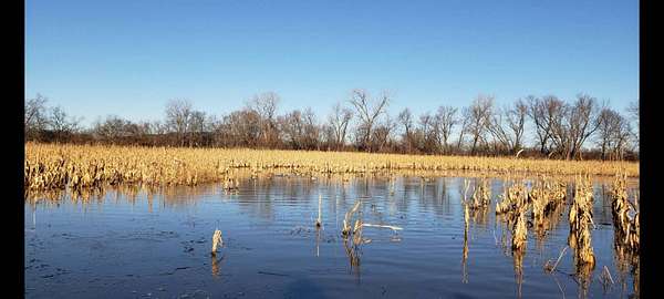 15.9 Acres of Recreational Land & Farm for Sale in Fillmore, Missouri