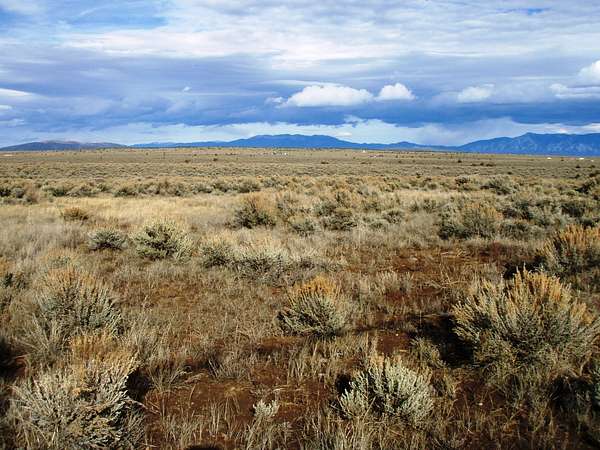 0.25 Acres of Residential Land for Sale in Tres Piedras, New Mexico