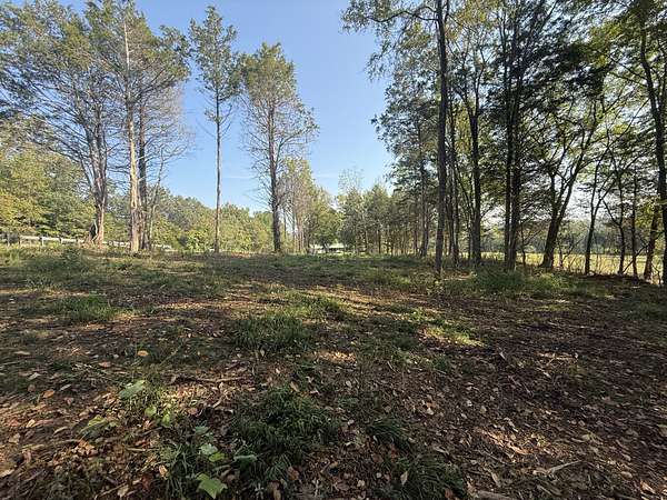 2 Acres of Residential Land for Sale in Waynesboro, Tennessee