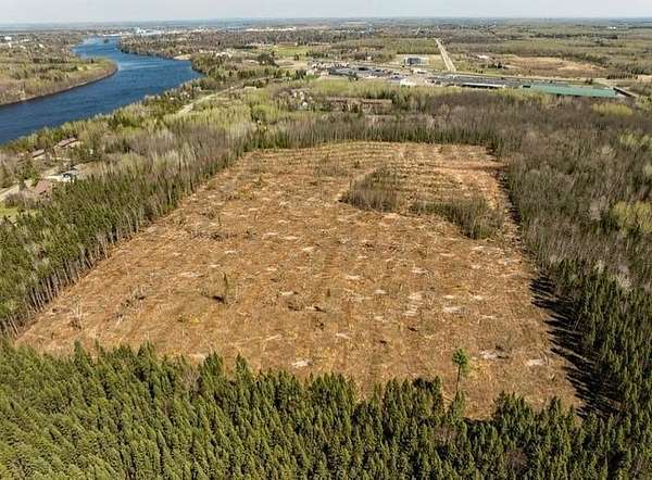 25 Acres of Land for Sale in International Falls, Minnesota