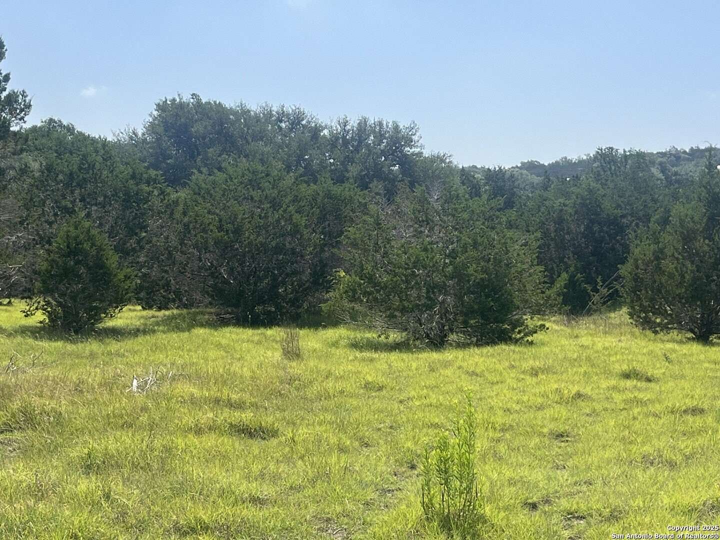 1 Acre of Residential Land for Sale in Canyon Lake, Texas