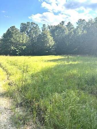 1.6 Acres of Residential Land for Sale in Chappells, South Carolina