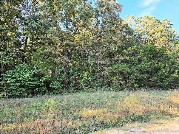 0.39 Acres of Land for Sale in Diamond City, Arkansas