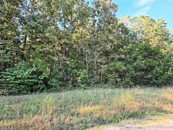 0.39 Acres of Land for Sale in Diamond City, Arkansas