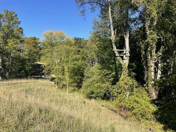 33.8 Acres of Recreational Land for Sale in Plainwell, Michigan