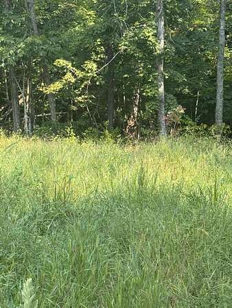 54.2 Acres of Recreational Land for Sale in Mount Olivet, Kentucky