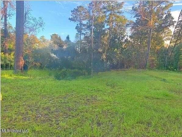 1 Acre of Residential Land for Sale in McComb, Mississippi