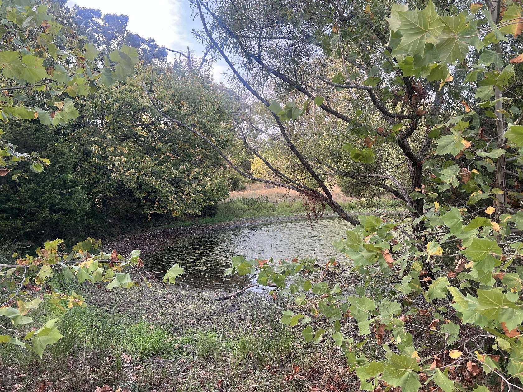 7.5 Acres of Residential Land for Sale in Fair Play, Missouri