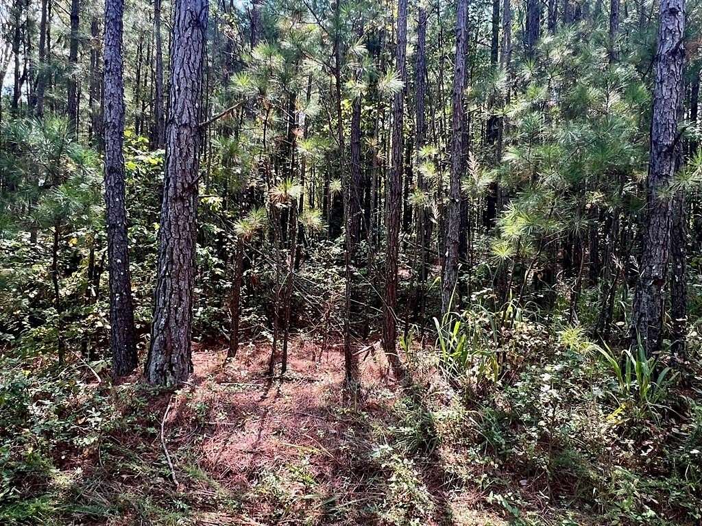 31.5 Acres of Recreational Land for Sale in Douglasville, Georgia