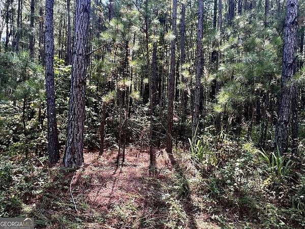 31.5 Acres of Recreational Land for Sale in Douglasville, Georgia