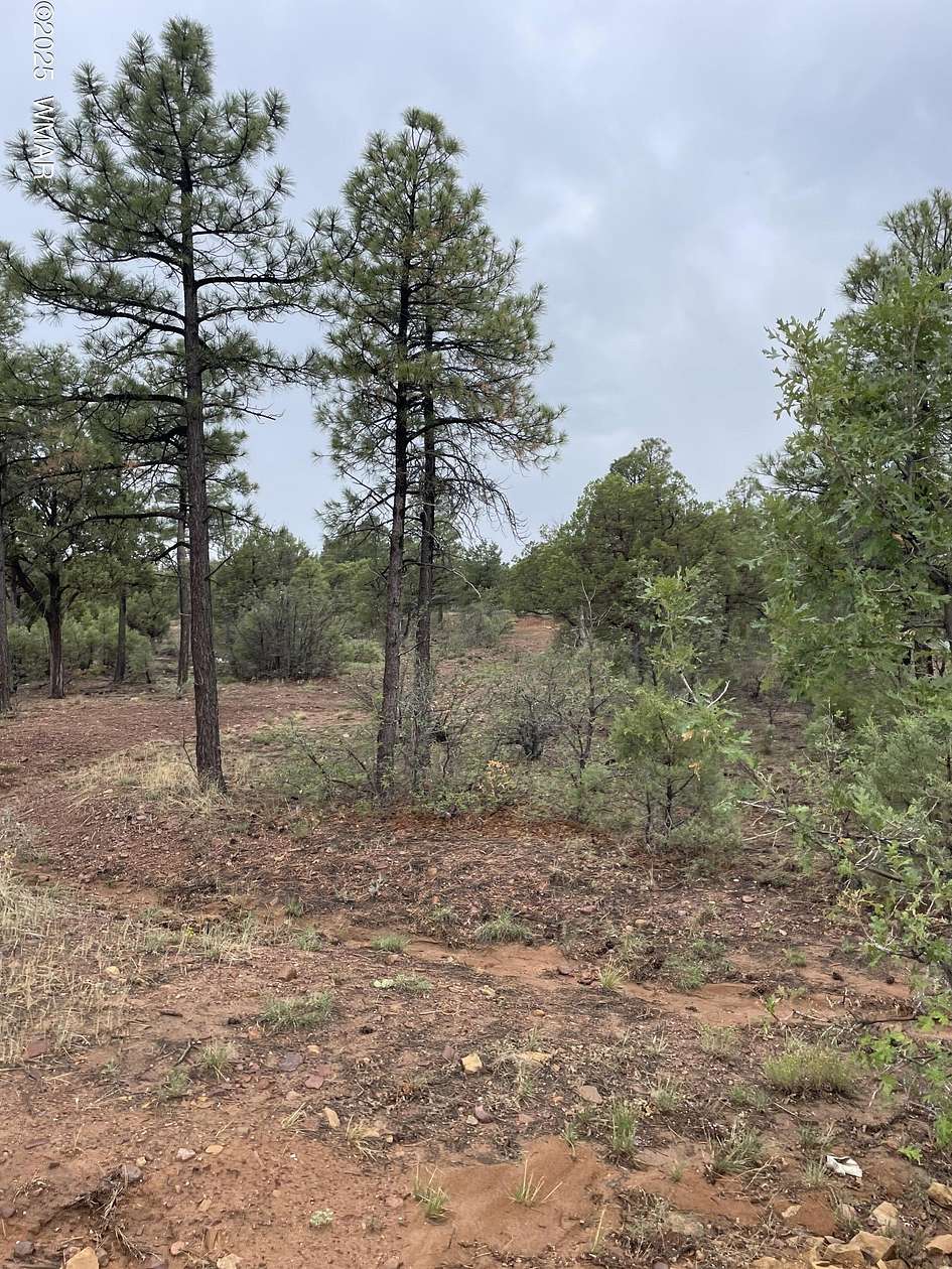 0.19 Acres of Residential Land for Sale in Show Low, Arizona