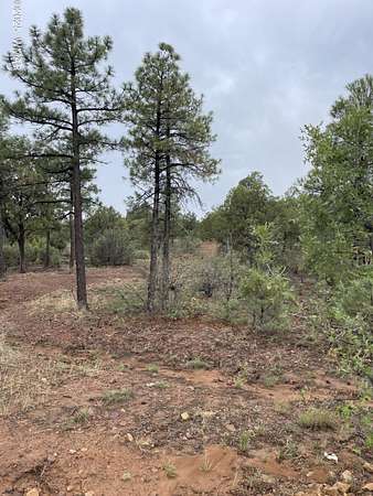 0.19 Acres of Residential Land for Sale in Show Low, Arizona