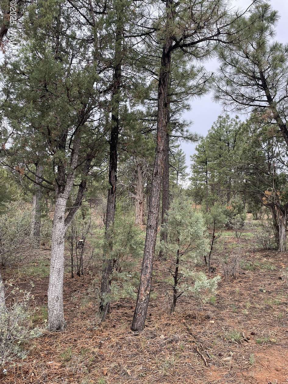 0.3 Acres of Residential Land for Sale in Show Low, Arizona