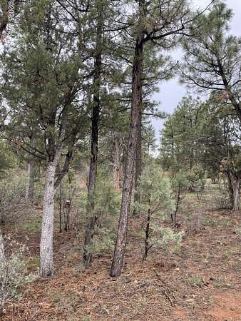0.3 Acres of Residential Land for Sale in Show Low, Arizona