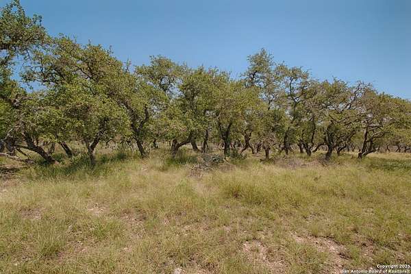 10.6 Acres of Land for Sale in Harper, Texas
