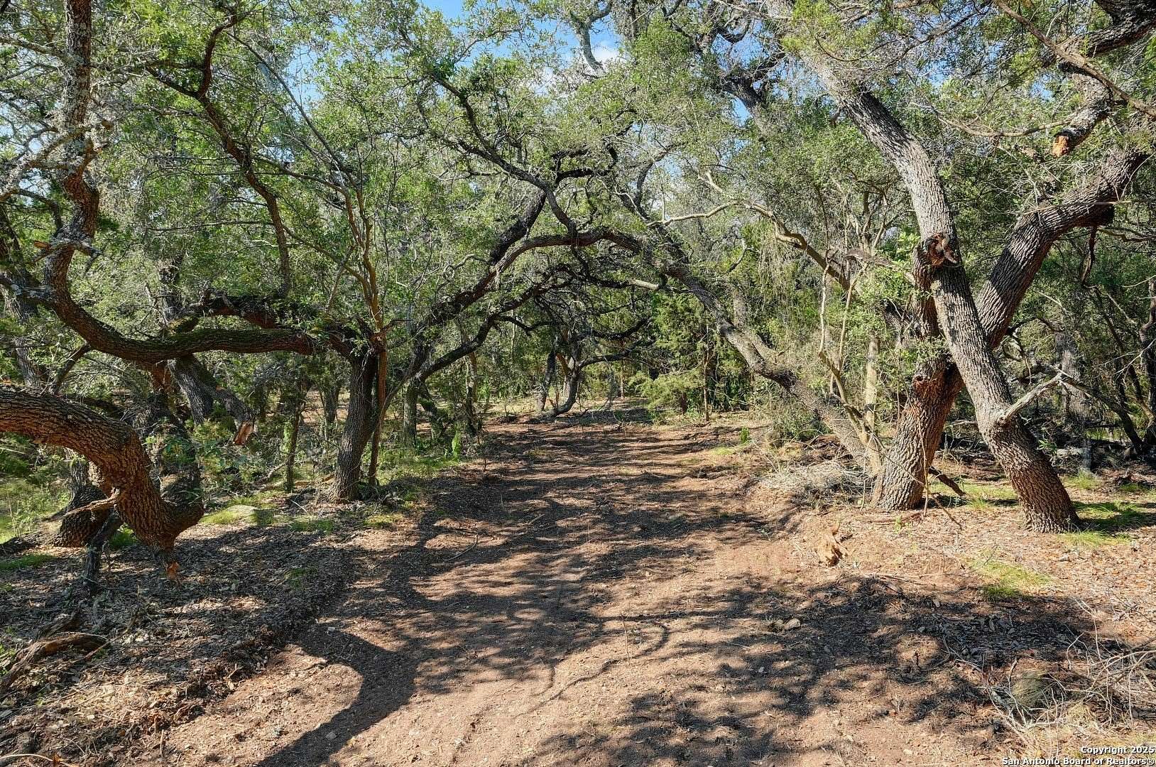 12 Acres of Land for Sale in Blanco, Texas