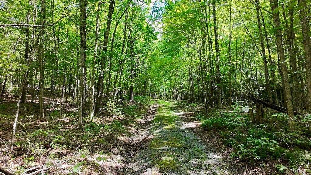 53.9 Acres of Recreational Land for Sale in Atkins, Virginia