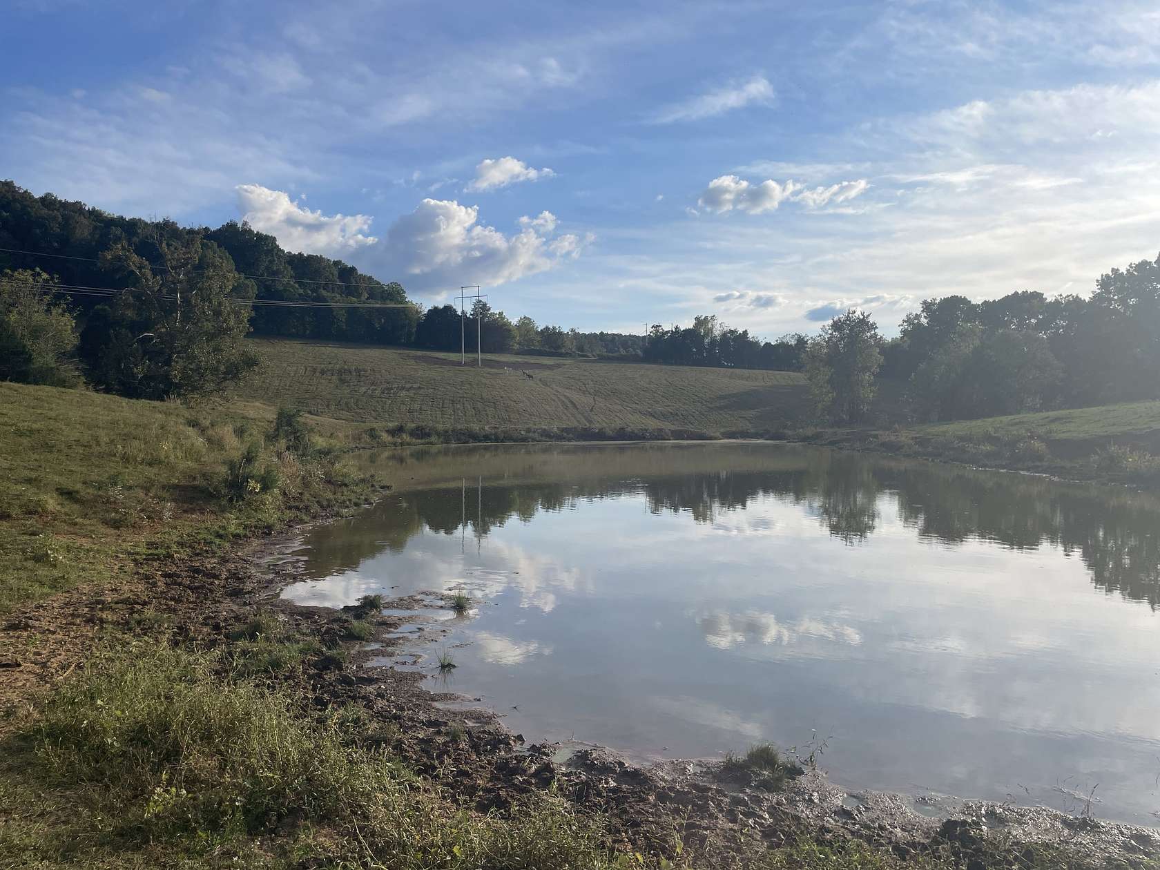 94.4 Acres of Land for Sale in Quebeck, Tennessee