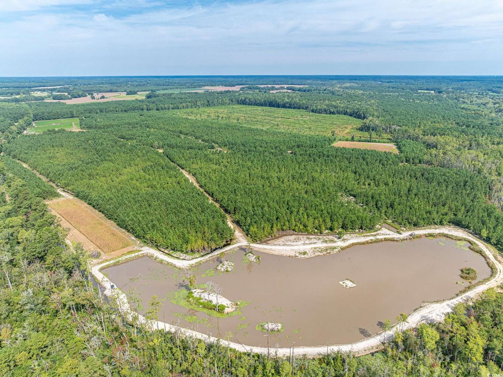 429 Acres of Recreational Land for Sale in Clarendon, North Carolina