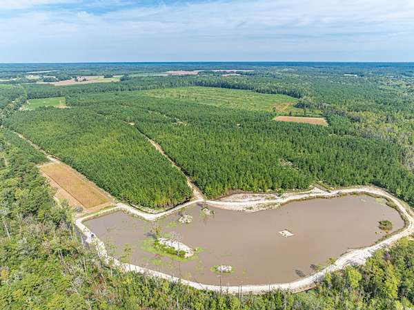 429 Acres of Recreational Land for Sale in Clarendon, North Carolina