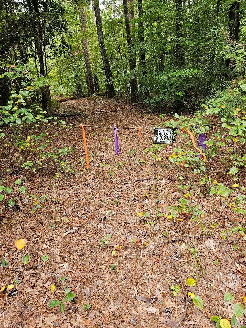 28 Acres of Recreational Land for Sale in Carthage, Arkansas