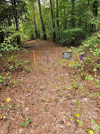 28 Acres of Recreational Land for Sale in Carthage, Arkansas