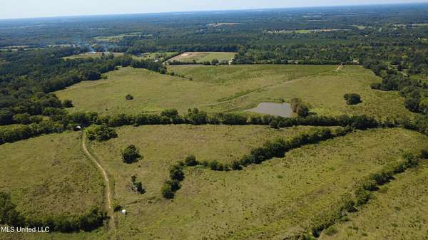 110 Acres of Land for Sale in Canton, Mississippi