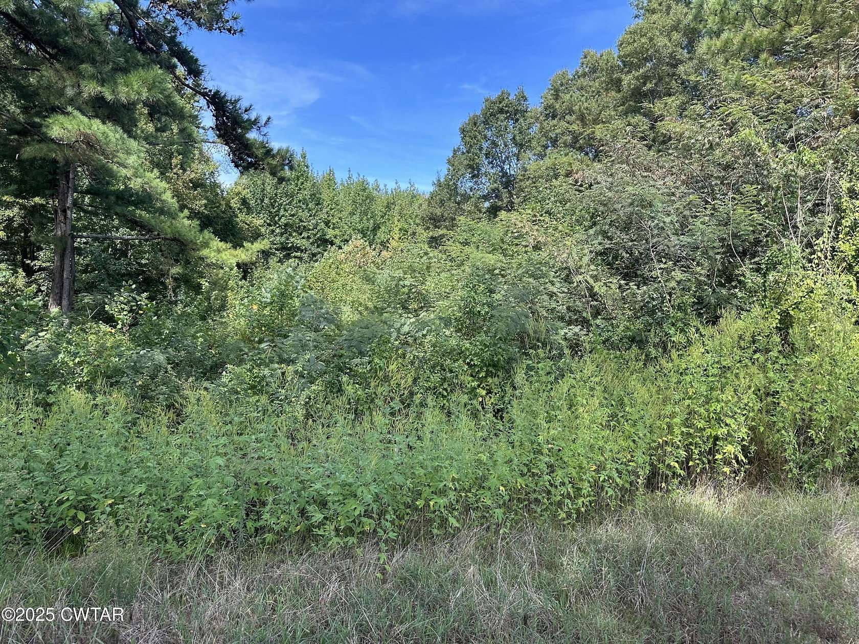 1 Acre of Residential Land for Sale in Stanton, Tennessee