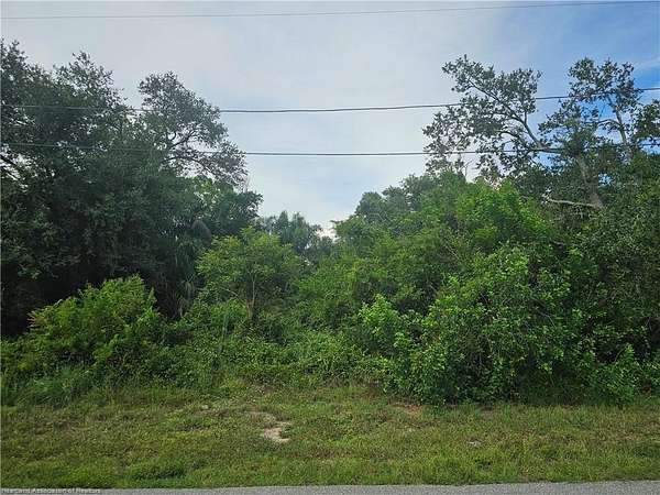 0.26 Acres of Residential Land for Sale in Lake Placid, Florida