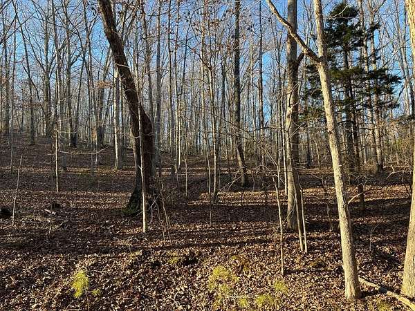 8.45 Acres of Land for Sale in Big Sandy, Tennessee