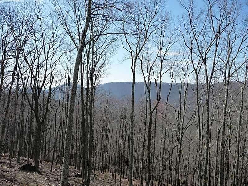 0.78 Acres of Residential Land for Sale in Big Canoe, Georgia