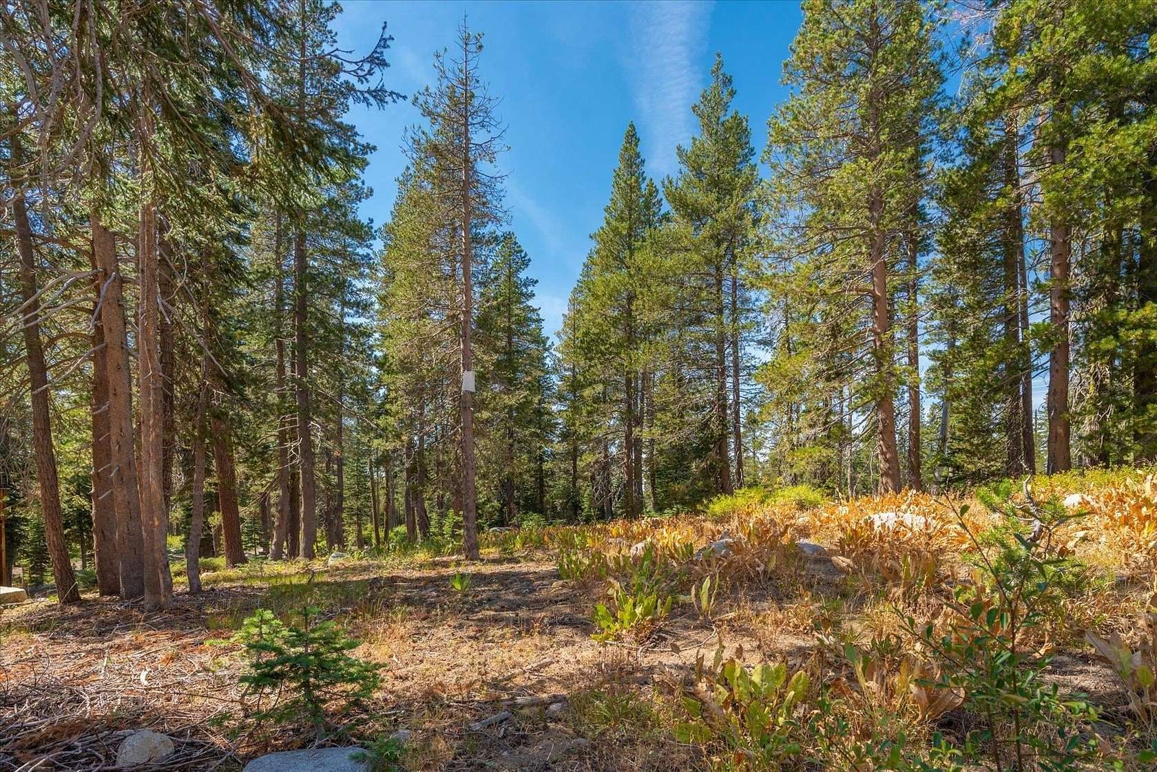 0.19 Acres of Residential Land for Sale in Soda Springs, California