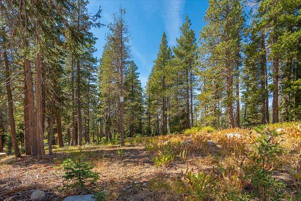 0.19 Acres of Residential Land for Sale in Soda Springs, California