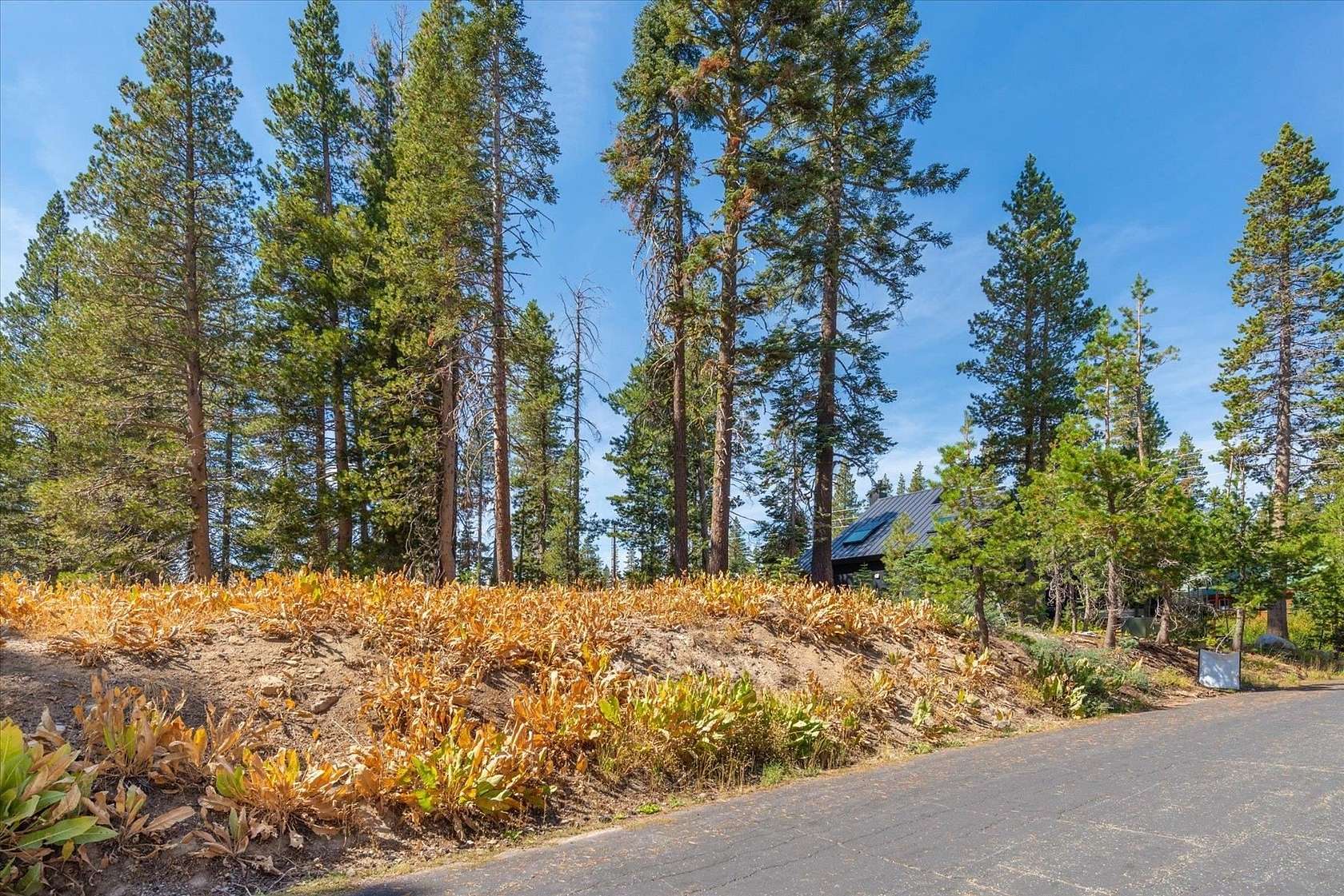 0.19 Acres of Residential Land for Sale in Soda Springs, California