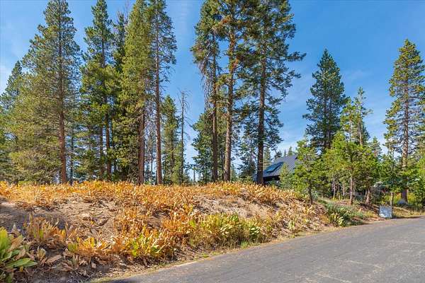 0.19 Acres of Residential Land for Sale in Soda Springs, California