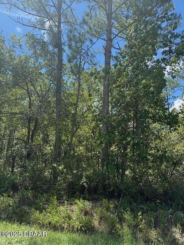 1.14 Acres of Land for Sale in Hastings, Florida