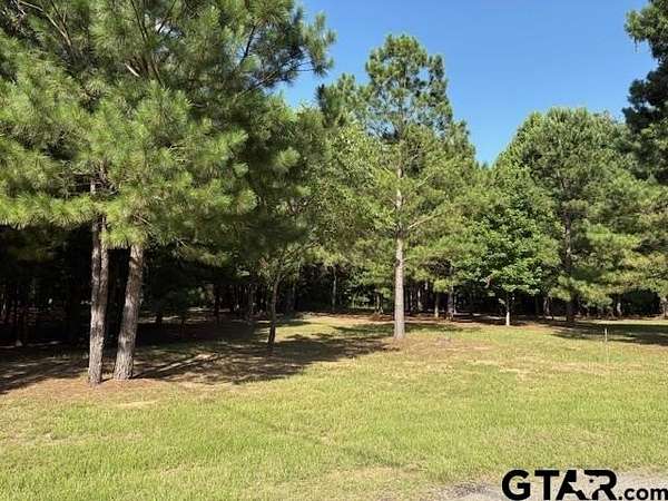 0.45 Acres of Residential Land for Sale in Holly Lake Ranch, Texas