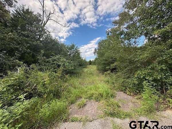 0.83 Acres of Land for Sale in Grand Saline, Texas