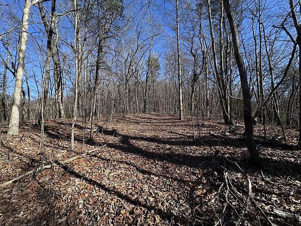 3 Acres of Residential Land with Home for Sale in Ellijay, Georgia