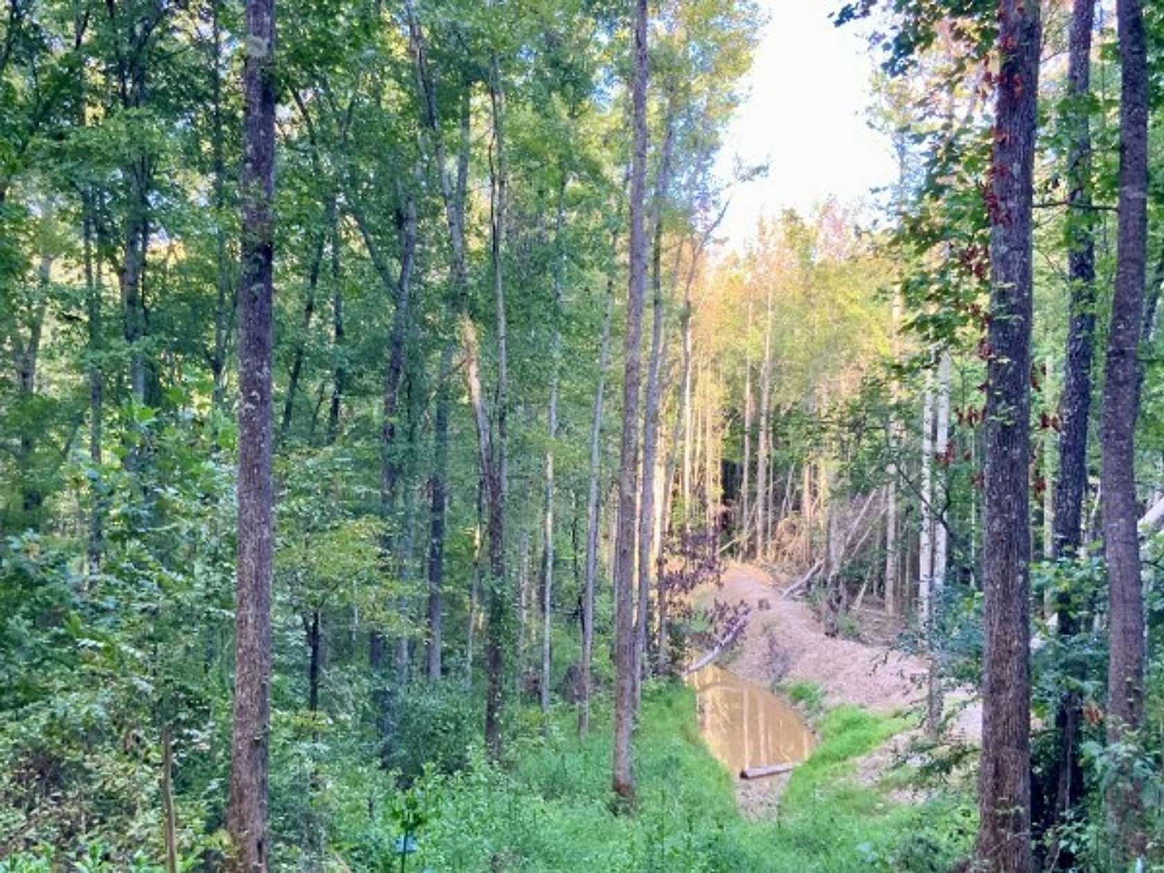 48.3 Acres of Recreational Land for Sale in Springville, Tennessee