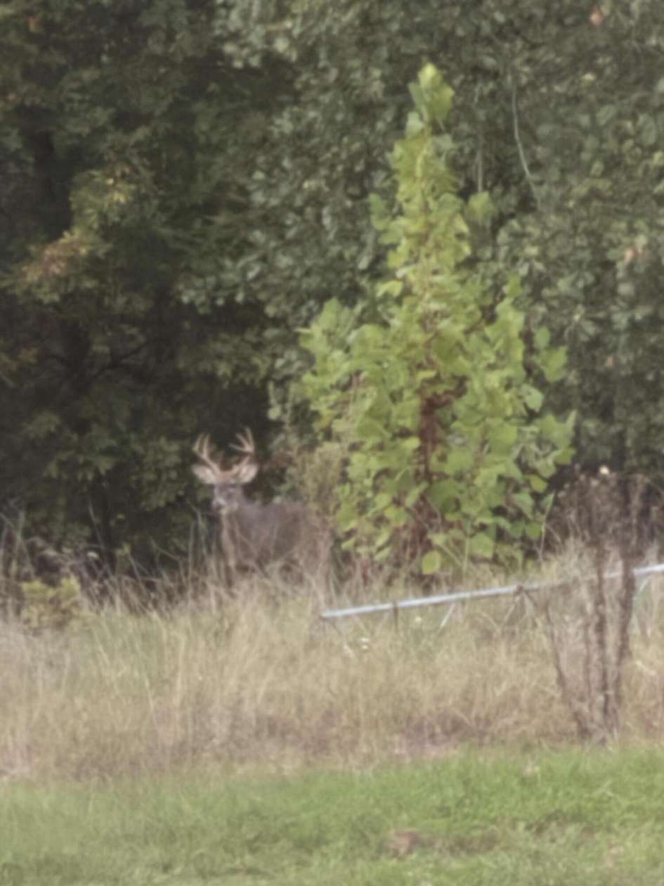 6.83 Acres of Land for Sale in Tunas, Missouri