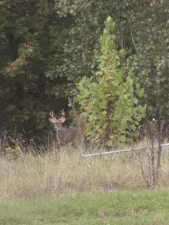 6.83 Acres of Land for Sale in Tunas, Missouri