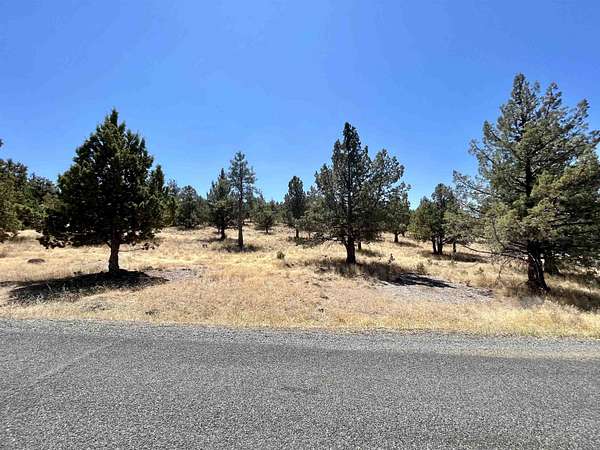0.26 Acres of Residential Land for Sale in Weed, California