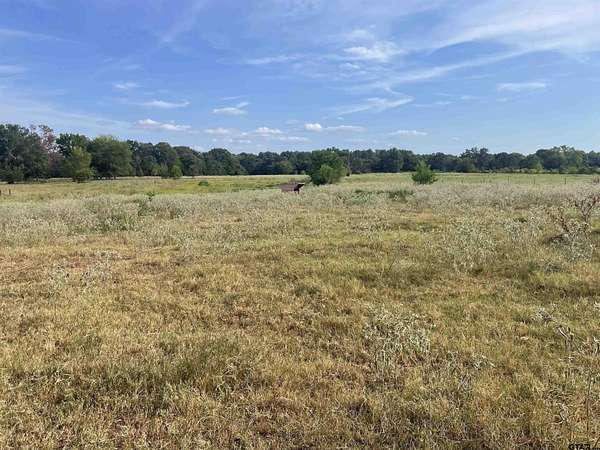 15.6 Acres of Land with Home for Sale in Bullard, Texas