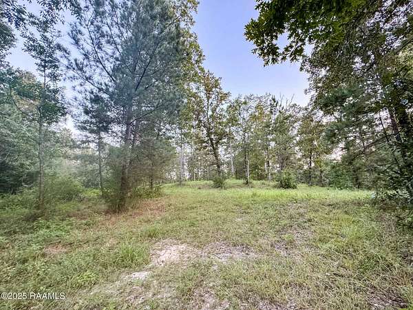 9.5 Acres of Land for Sale in Turkey Creek, Louisiana